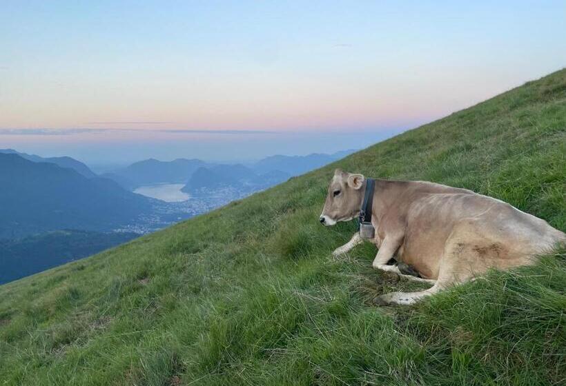فندق Agriturismo Alpe Rompiago