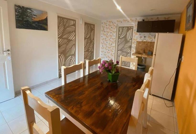 Hotel Cabañas Las Violetas A Pasos De La Reserva Urutaú