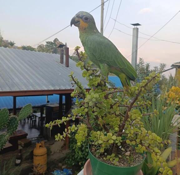 فندق Club Social Villa Victoria