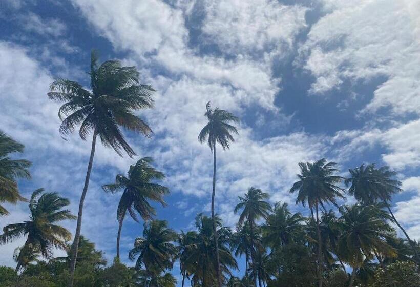 فندق Cores De Boipeba