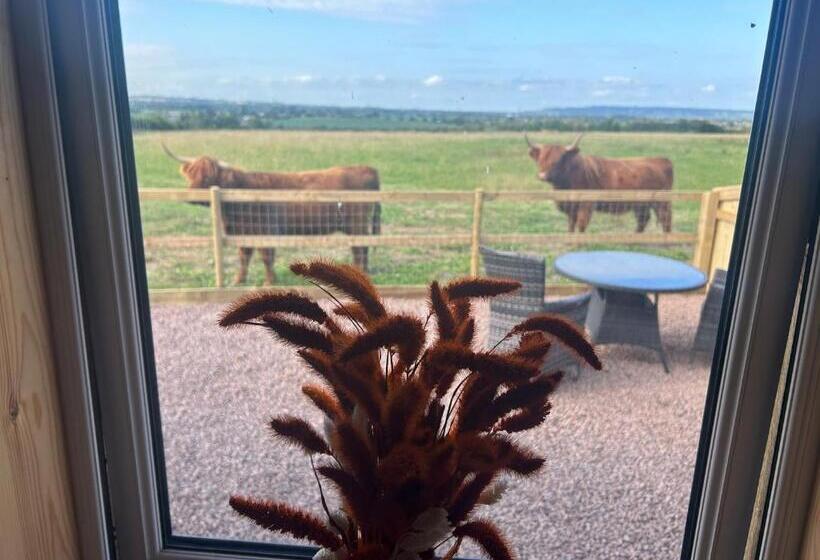 캡슐 호텔 Maylands Farm Glamping Pod