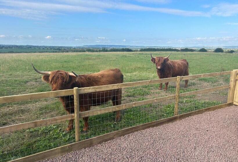 캡슐 호텔 Maylands Farm Glamping Pod