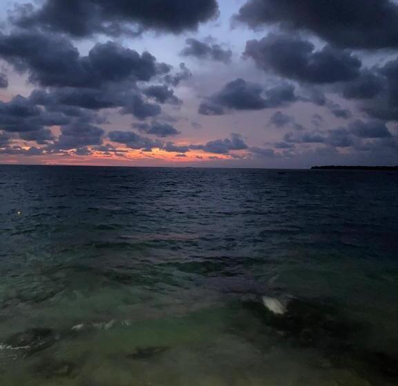 בית מלון כפרי Hostel Bunker Perú