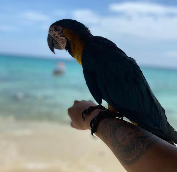 בית מלון כפרי Hostel Bunker Perú