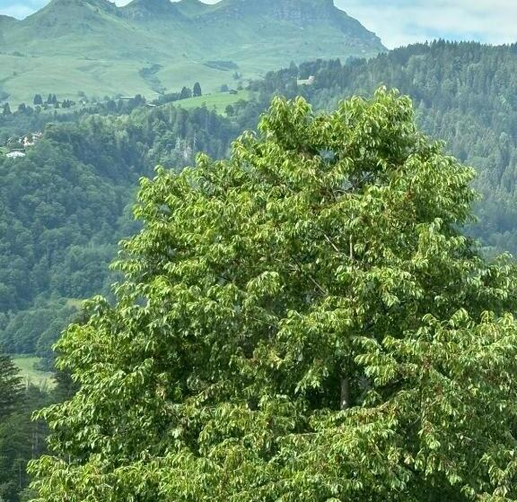 فندق Landgasthof Zum Glenner