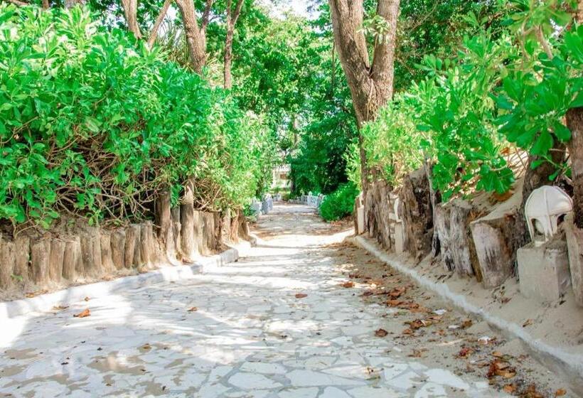 Отель Riviera Del Mar