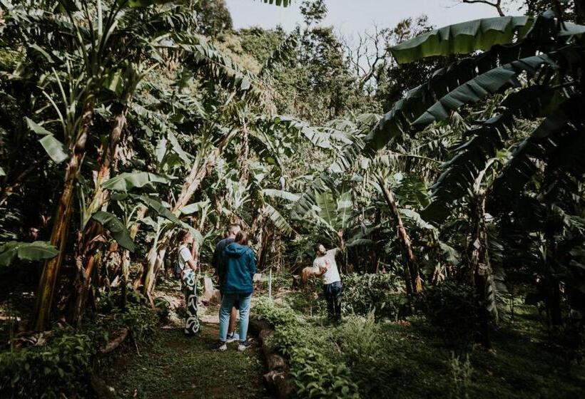 فندق Santuario Ecologico Monteverde