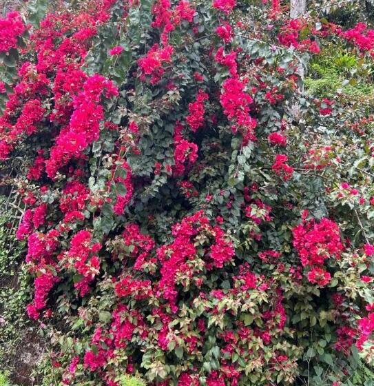 فندق Silk Route Lingtam Resort