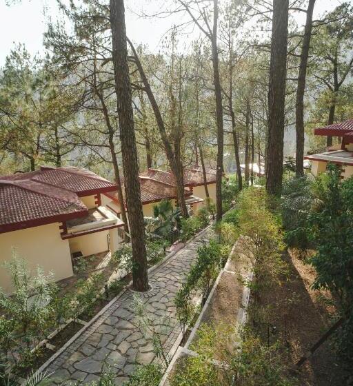 酒店 Tapovan Resorts