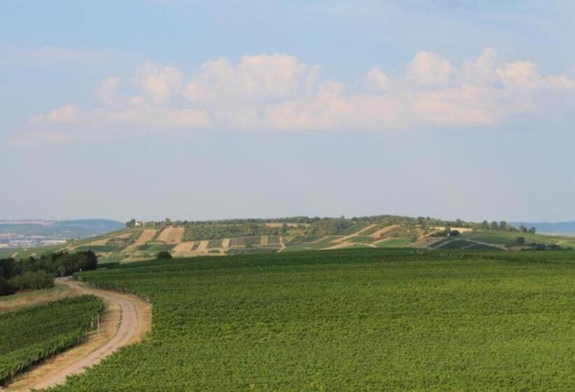 پانسیون Castillo 1