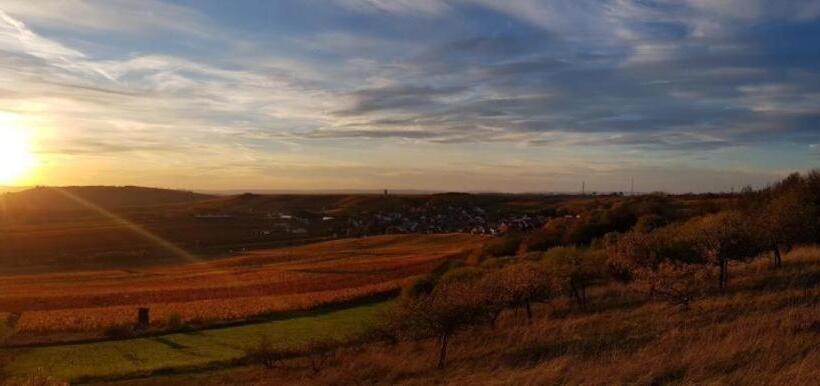 پانسیون Castillo 1