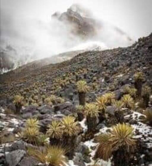 膳宿费 Hostal Ml Las Tres B