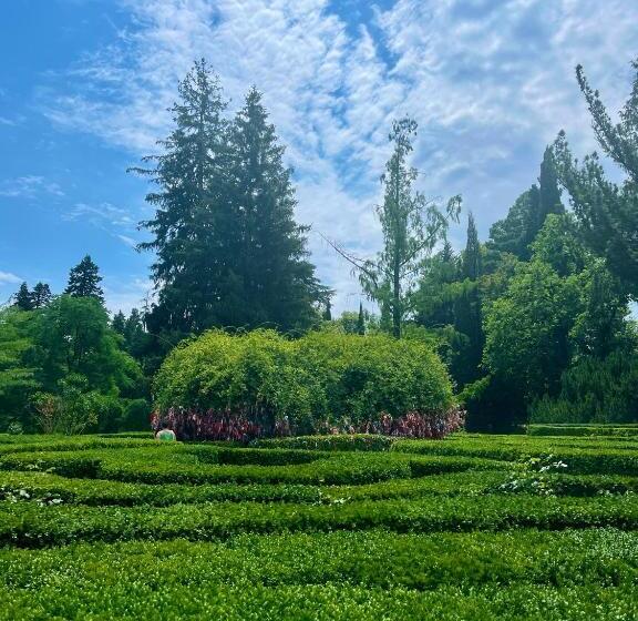 پانسیون Nino S Guest House