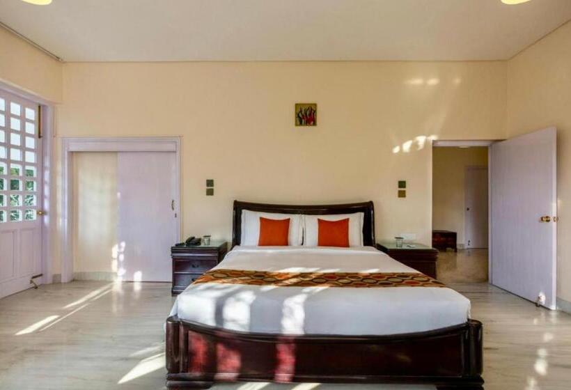 ペンション Saffron Leaf W567