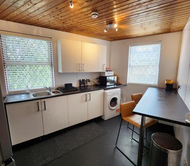 بنسيون The Albert Pub