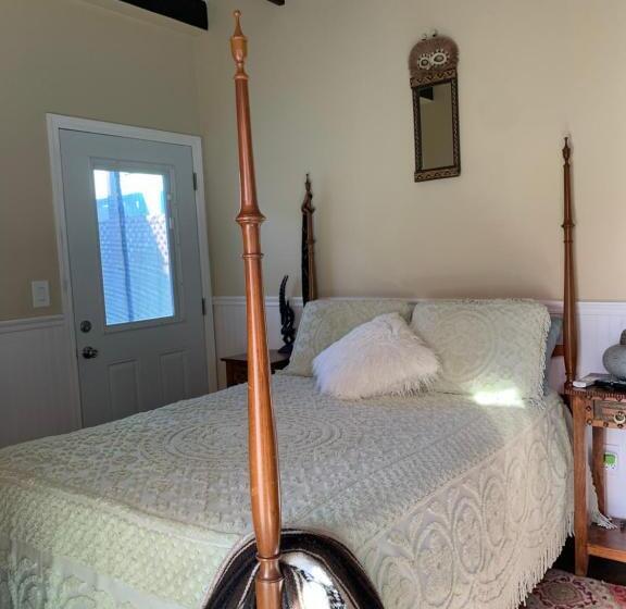 بنسيون Urban Oasis