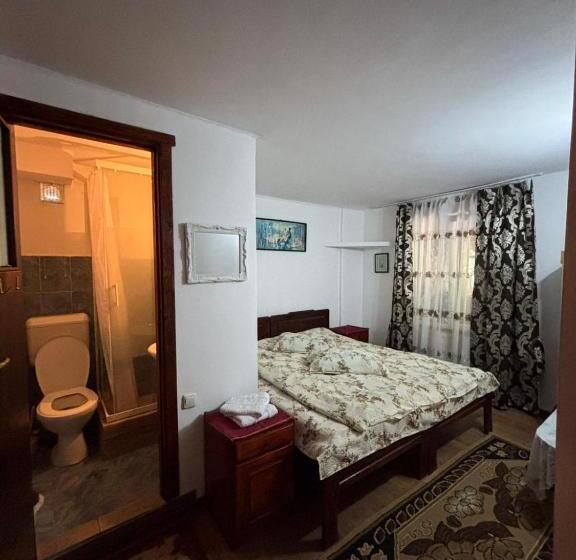 Пансион Vila Movilă