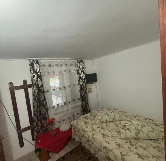 Пансион Vila Movilă