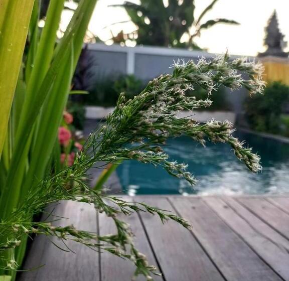 Private Villa Bamboo Cozy