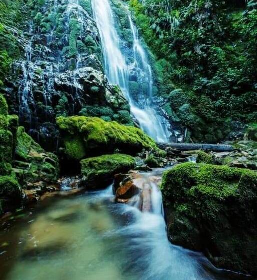 منتجع Los Angeles Junín