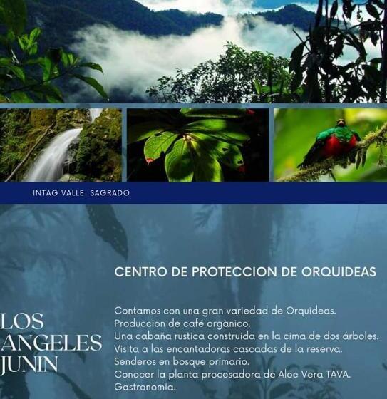 منتجع Los Angeles Junín