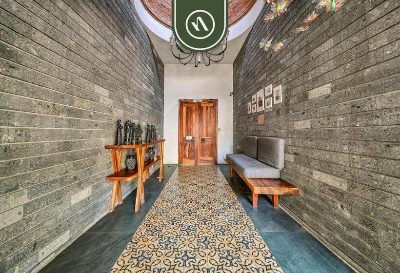 הוסטל 2 Double Beds   Dormitory Room In Nuevo Vallarta