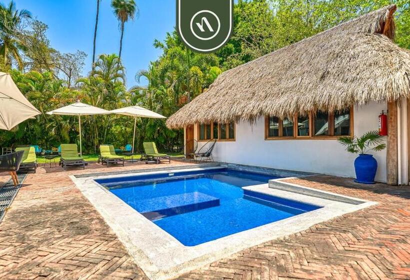 הוסטל 2 Double Beds   Dormitory Room In Nuevo Vallarta