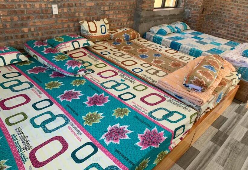 هاستل Kvf Homestay