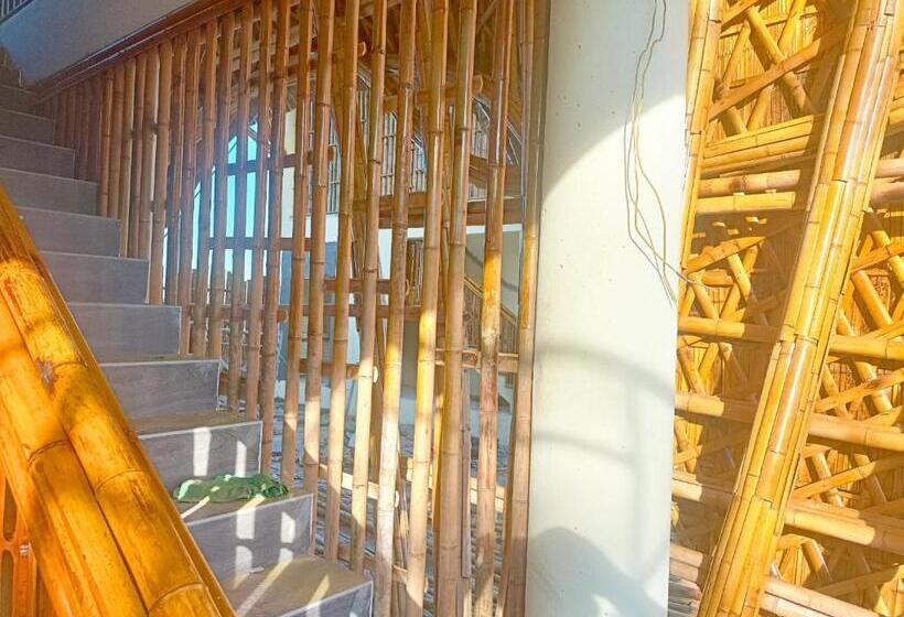 هاستل Kvf Homestay