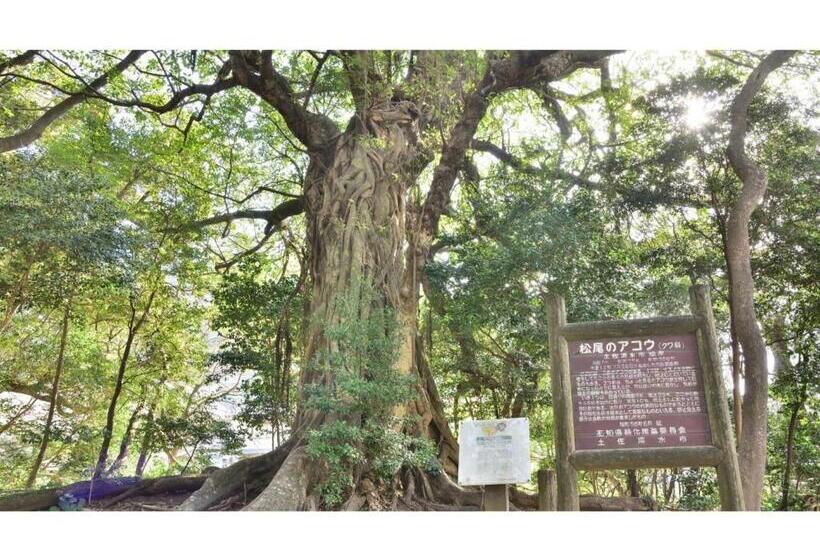 Ashizuri Sunnyside Hotel   Vacation Stay 32474v