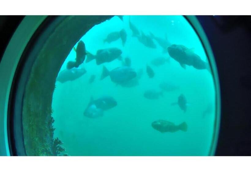 Ashizuri Sunnyside Hotel   Vacation Stay 32474v