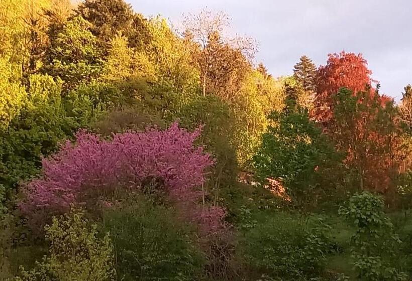 Bed and Breakfast Chateau De Joudes Suite De La Baronne