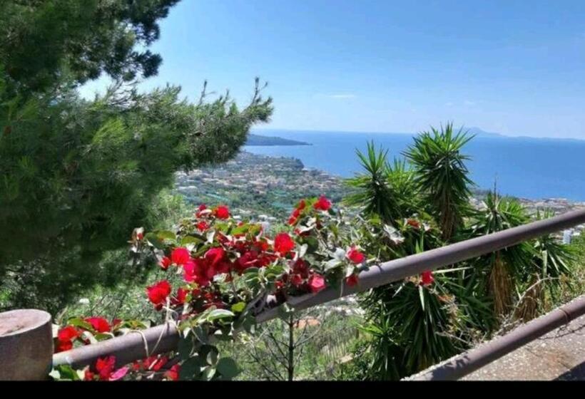 צימר La Culla Di Minerva