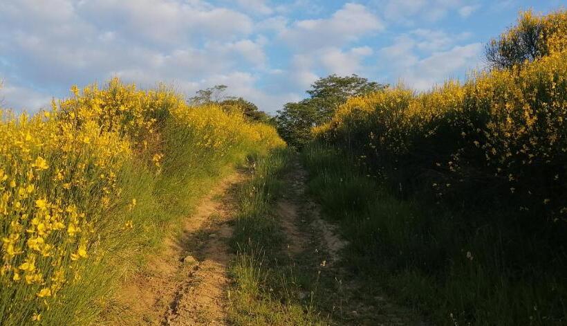 مبيت وإفطار Montebello Arte E Natura