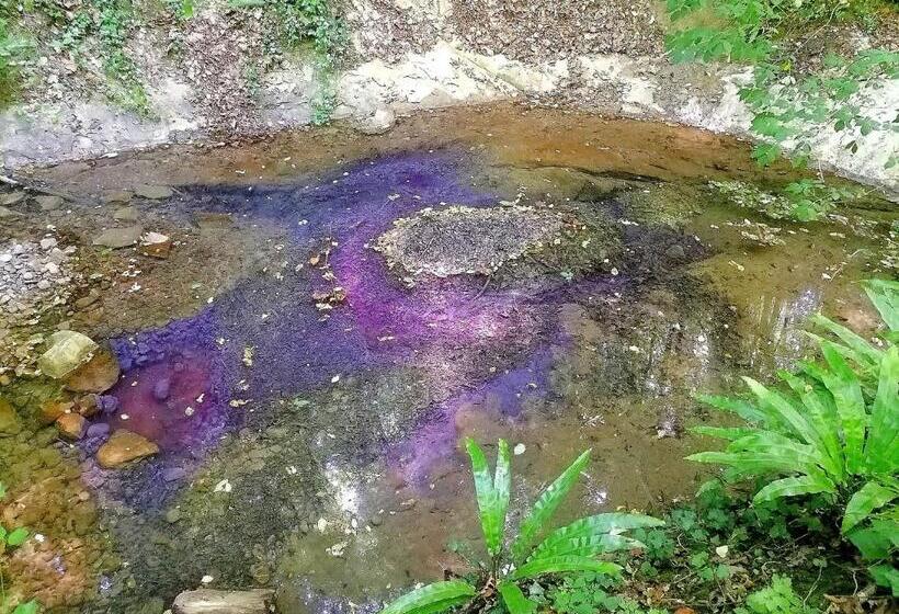 مبيت وإفطار Montebello Arte E Natura