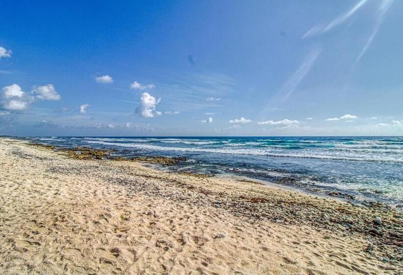 Casa Xila 102 Torre Jungla