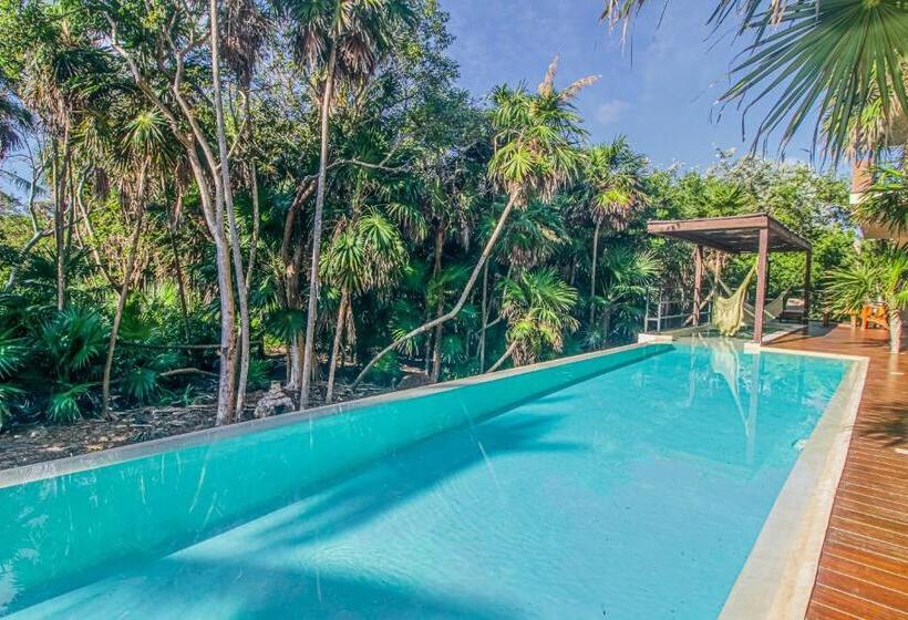 Casa Xila 102 Torre Jungla