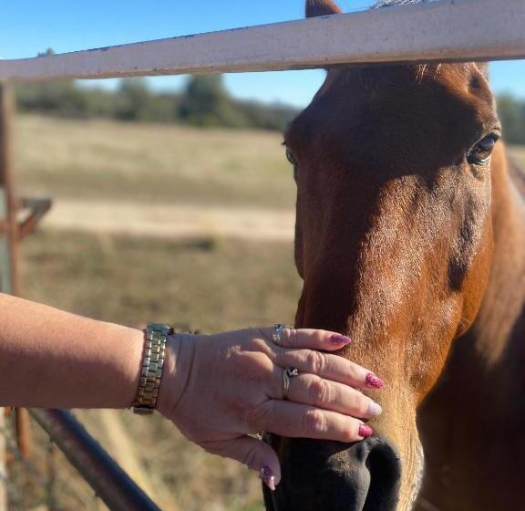 فندق Boshack Outback Farmstay   Perth Eco Farm