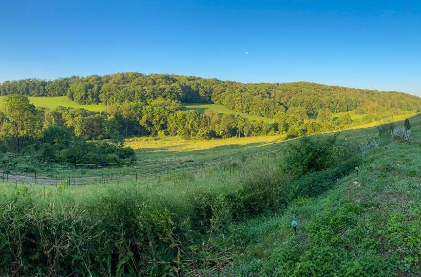 בית מלון כפרי Bauernhof Für Naturliebhaber