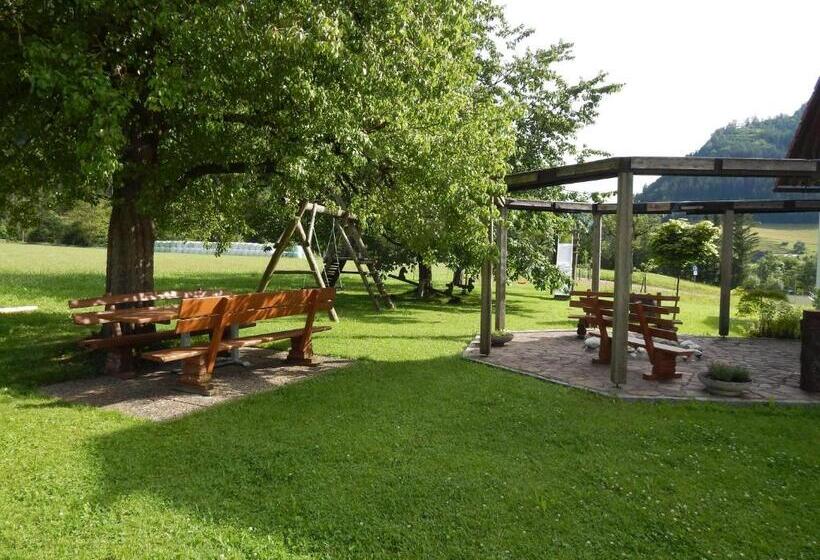 Otel Peterhof – Komm Als Gast & Geh Als Freund