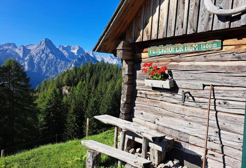 Otel Peterhof – Komm Als Gast & Geh Als Freund