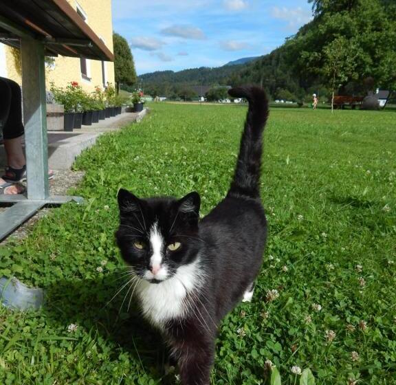 Otel Peterhof – Komm Als Gast & Geh Als Freund