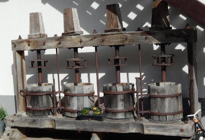 Otel Peterhof – Komm Als Gast & Geh Als Freund