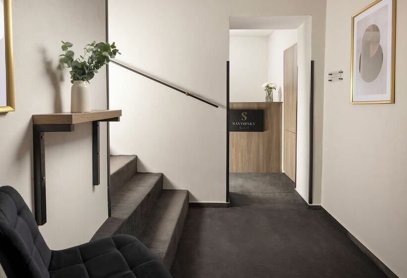 בית מלון כפרי Savorsky