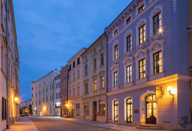 בית מלון כפרי Savorsky