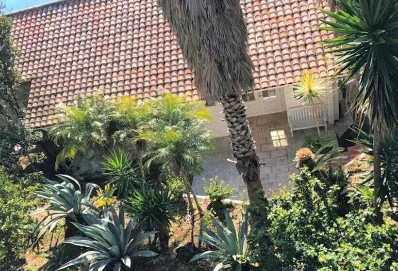 ホテル Shiki No Kura   Vacation Stay 29695v