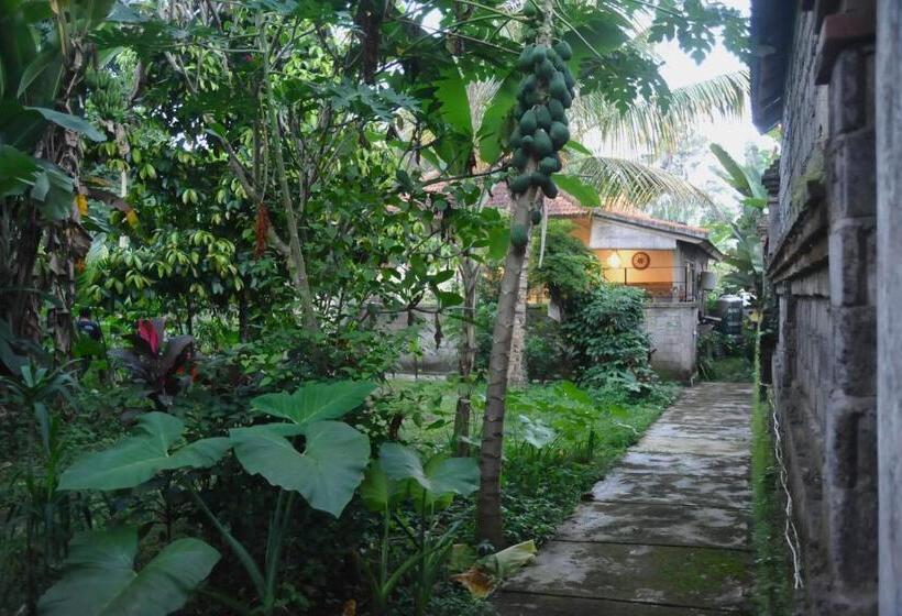 פנסיון Ampi House