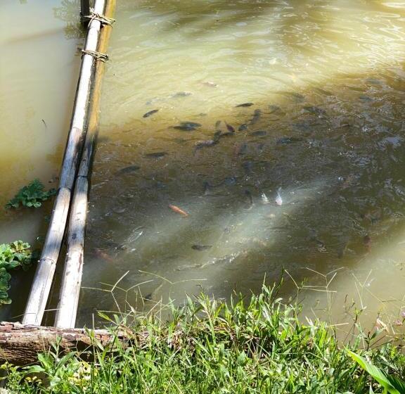 膳宿费 Da Family Mini Garden