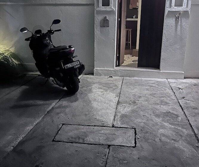 Pension (Hôtel basse catégorie) Kiwi Guest House