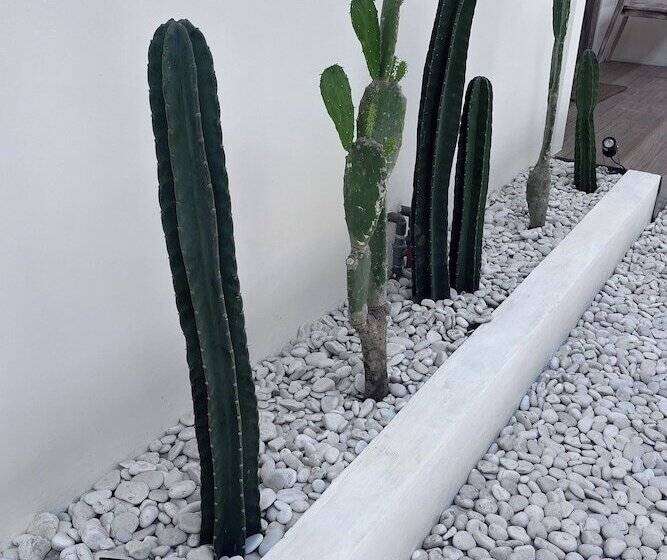 Pension (Hôtel basse catégorie) Kiwi Guest House